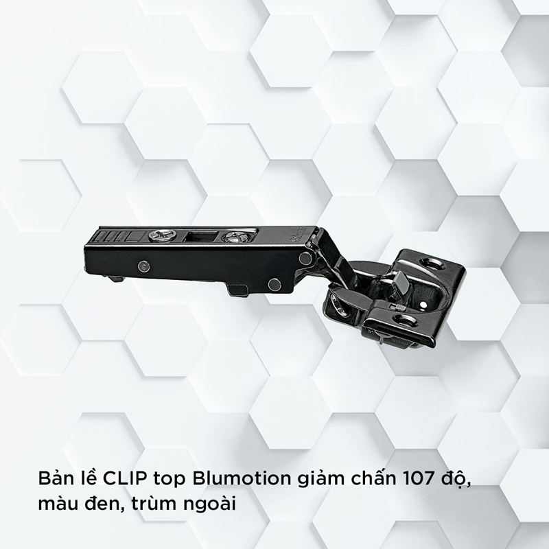 20230418_OpdW0bMI.jpg