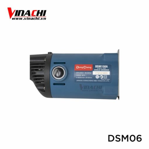 dsm06__3_.jpg