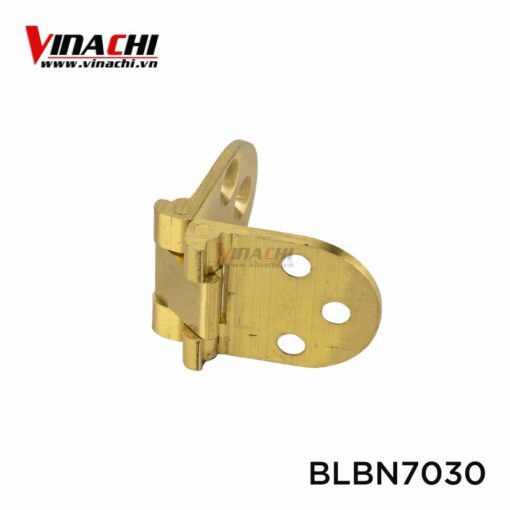 _blbn7030__2_.jpg